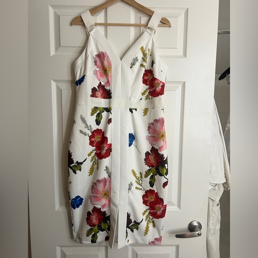 NWT Ted Baker dress